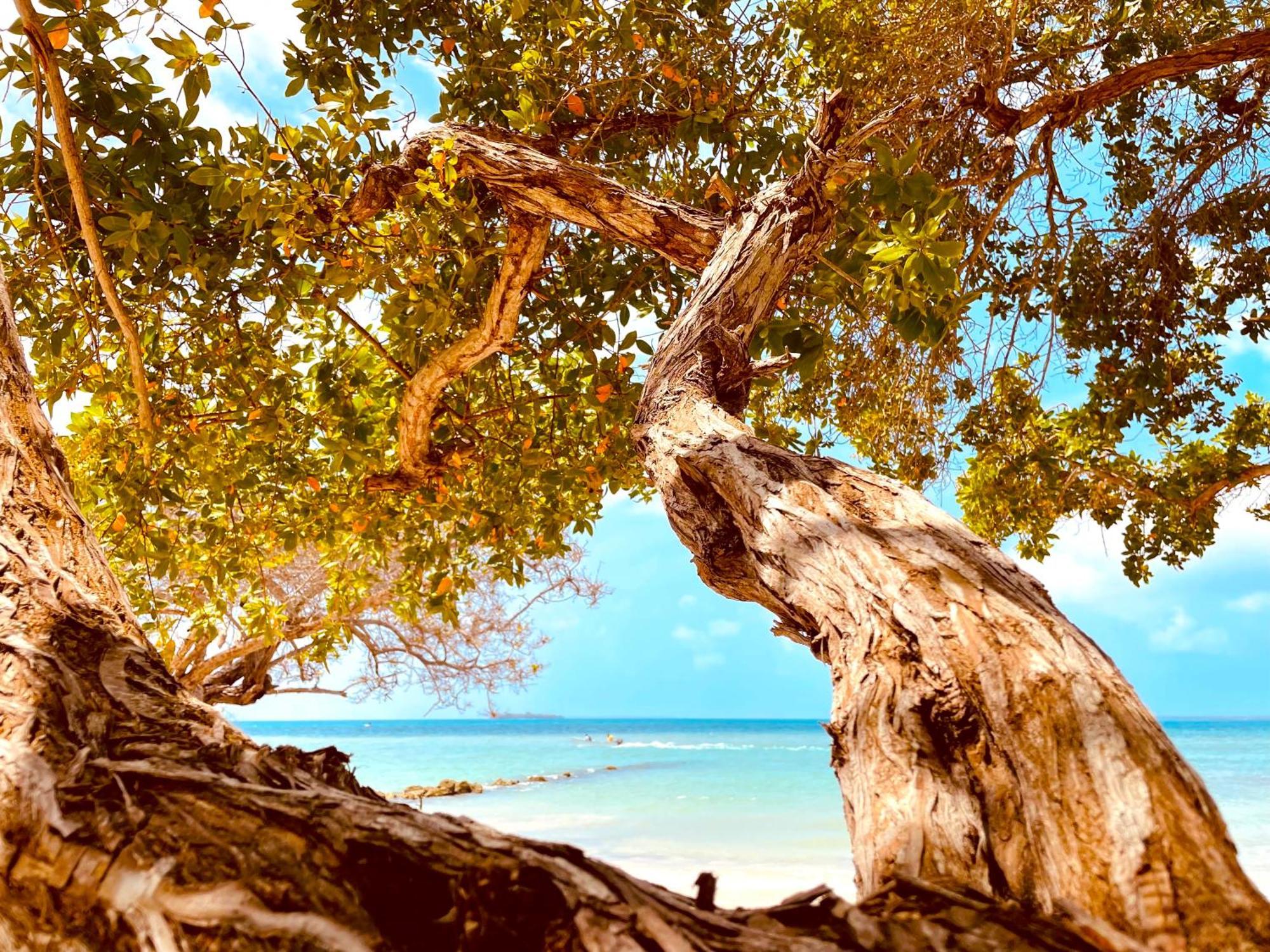 Carey Beach Isla Barú Zewnętrze zdjęcie