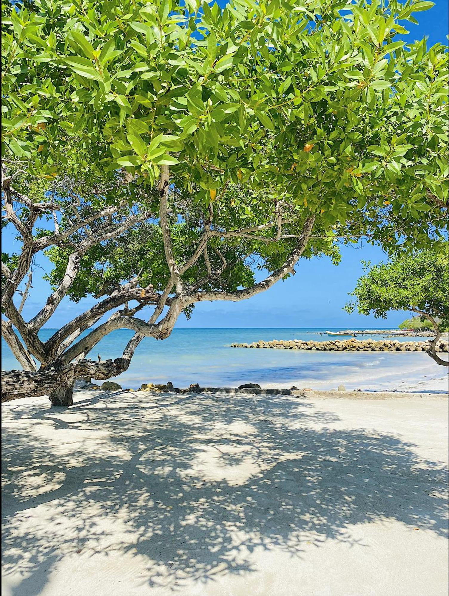 Carey Beach Isla Barú Zewnętrze zdjęcie