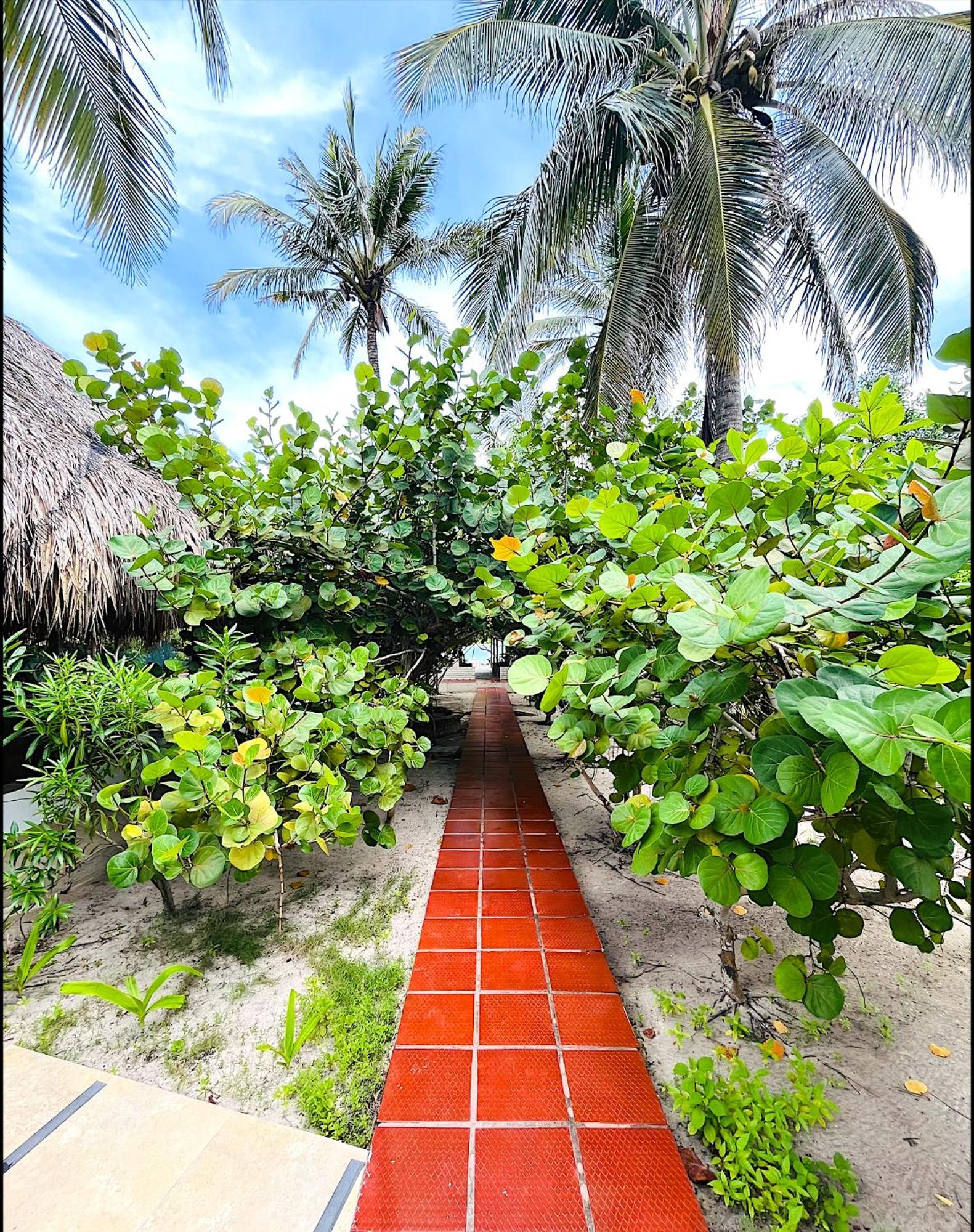 Carey Beach Isla Barú Zewnętrze zdjęcie