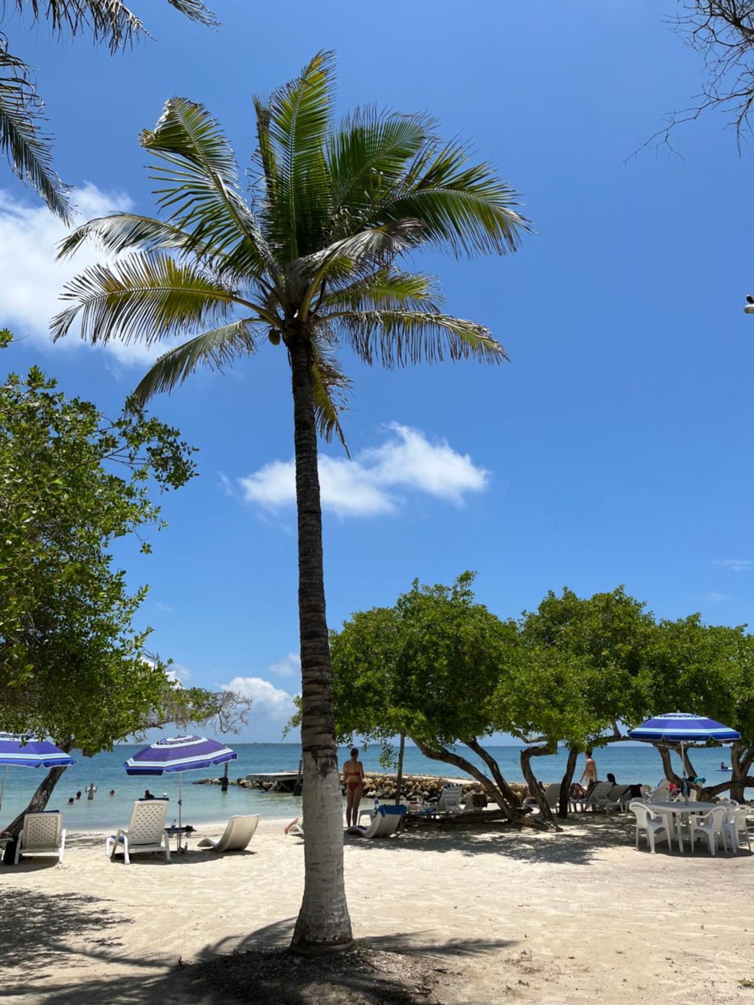 Carey Beach Isla Barú Zewnętrze zdjęcie